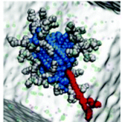 Graphical abstract of paper