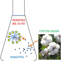 Graphical abstract of paper